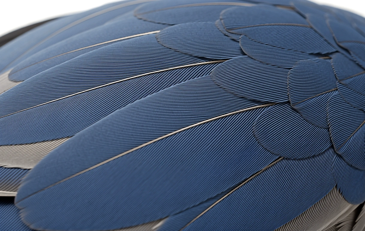 Textura de soporte natural